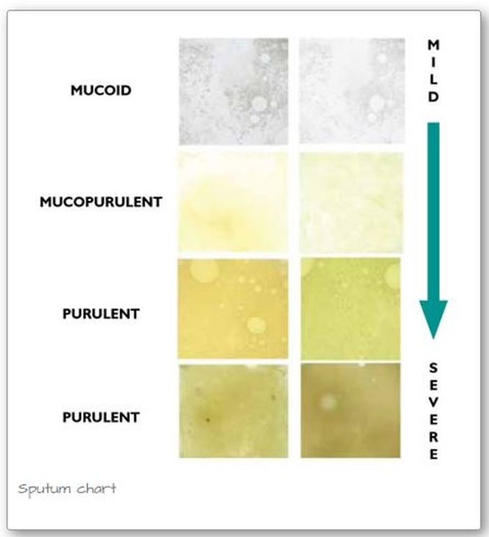 Chart warna dahak