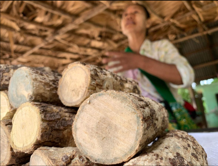 Daw San Tin menjual thanaka dalam bentuk mentahnya di jalan dekat Shwebo.