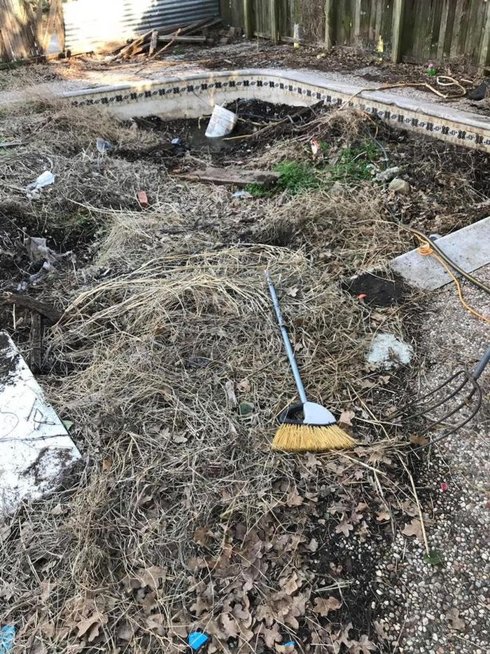 Pria terkejut menemukan kolam renang di halaman belakang rumahnya.