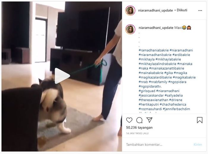 Anjing Nia Ramadhani kencing sembarangan