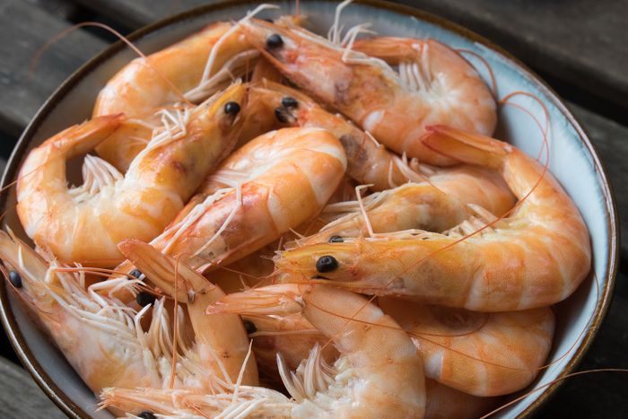 Dalam Bahasa Inggris, Udang Bisa Disebut Shrimp Maupun