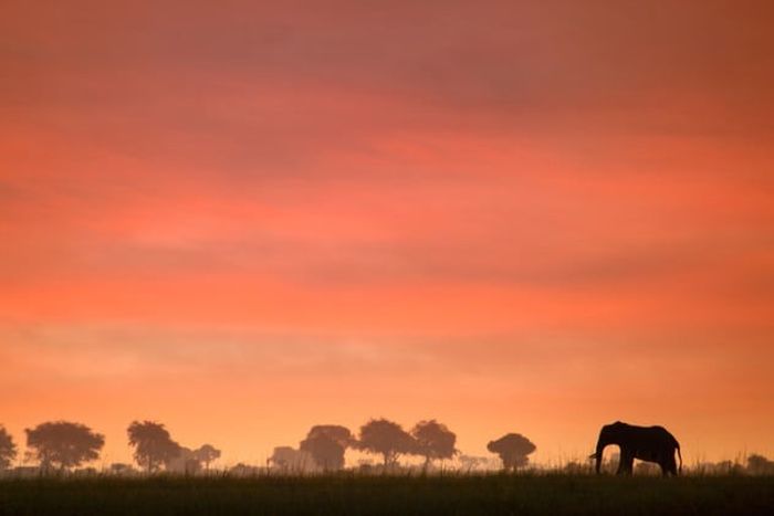 Afrika
