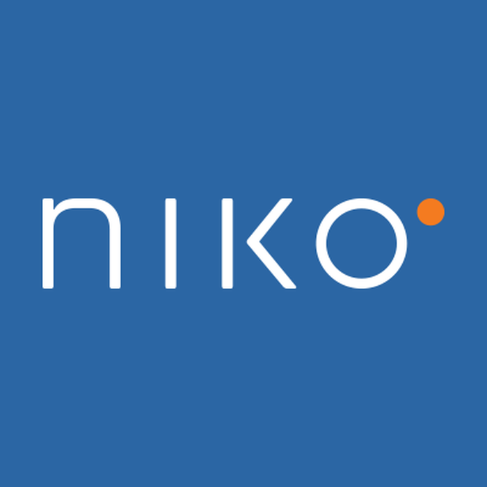 Niko Partners, a digital analytics platform around the gaming industry.