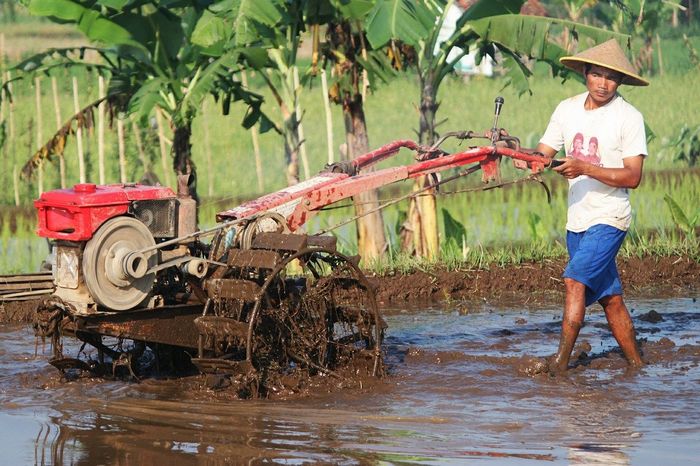 Perkembangan Teknologi Produksi Pangan Makin Lama Makin Canggih Semua Halaman Kids
