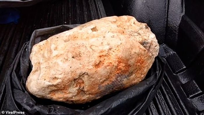 Inilah Ambergris yang ditemukan oleh Suwannasang.
