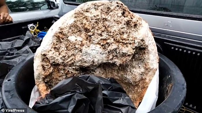Ambergris lain yang ditemukan oleh Suwannasang.