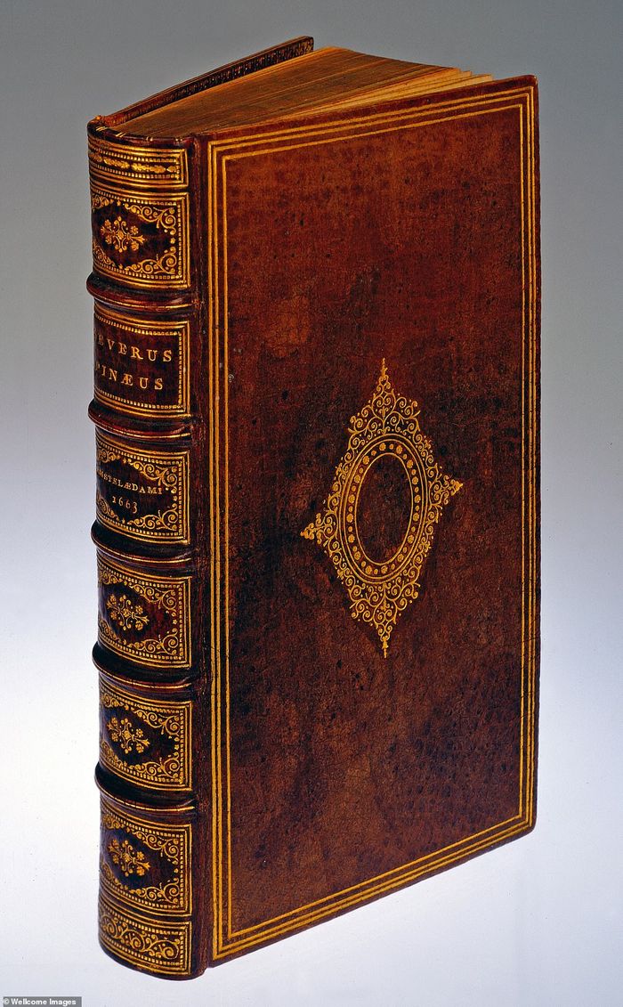 BUKU