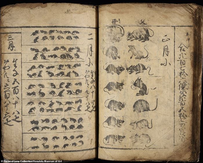 BUKU MANUAL MATEMATIKA