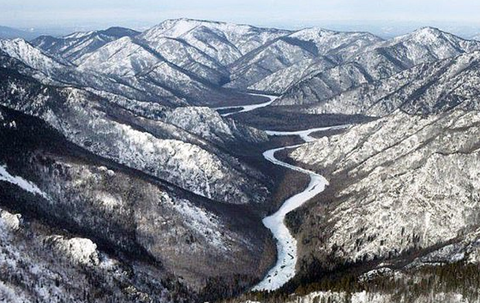 Hutan Siberia
