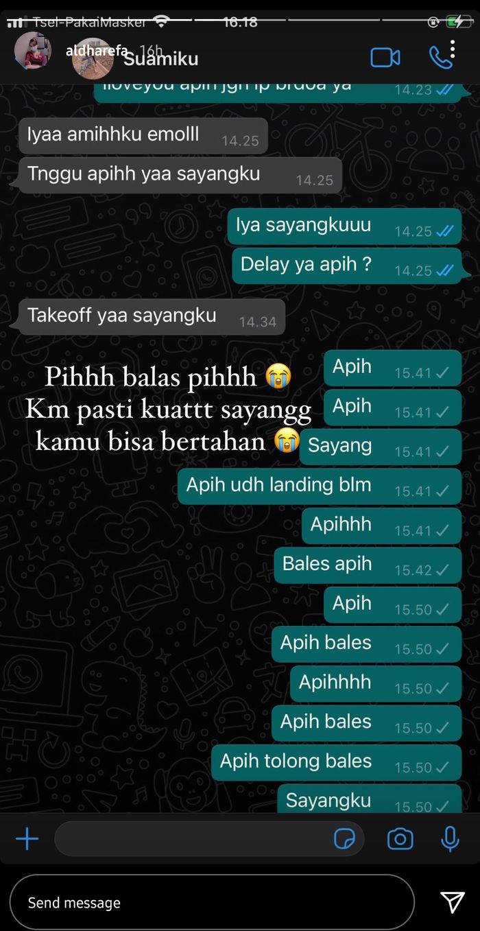 Melalui fitur Story Instagram @aldhafera, wanita yang juga berprofesi sebagai pramugari Sriwijaya Air membagikan percakapan Whatsapp terakhir dengan Okky Bisma.