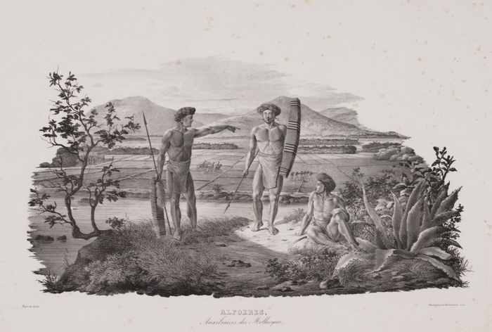 Lukisan bertajuk Alfoeres, auxiliaires des Mollucques karya François Vincent Henri Antoine de Stuers sekitar 1825-1830. Pasukan tambahan di pihak Belanda yang didatangkan dari Maluku., terbit pada 1833.