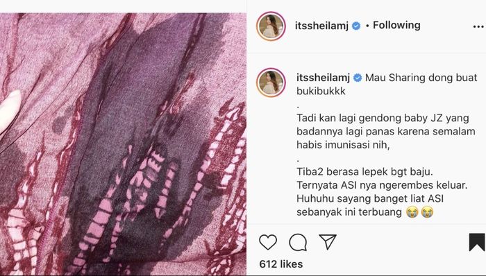 Tangkapan layar Unggahan foto dalam Instagram Sheila Marcia.