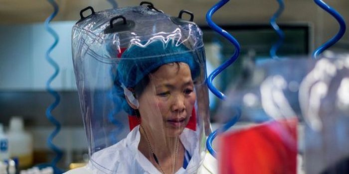 Dr Shi Zhengli, ilmuan dari WIV, China.