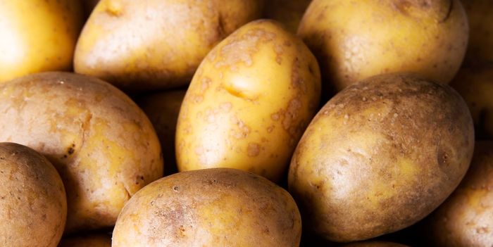 ilustrasi kentang