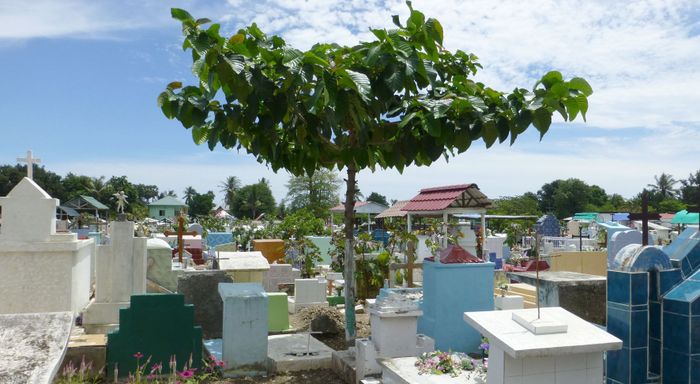 Pemakaman Santa Cruz, <a href='https://kupang.tribunnews.com/tag/timor-leste' title='Timor Leste'>Timor Leste</a>.