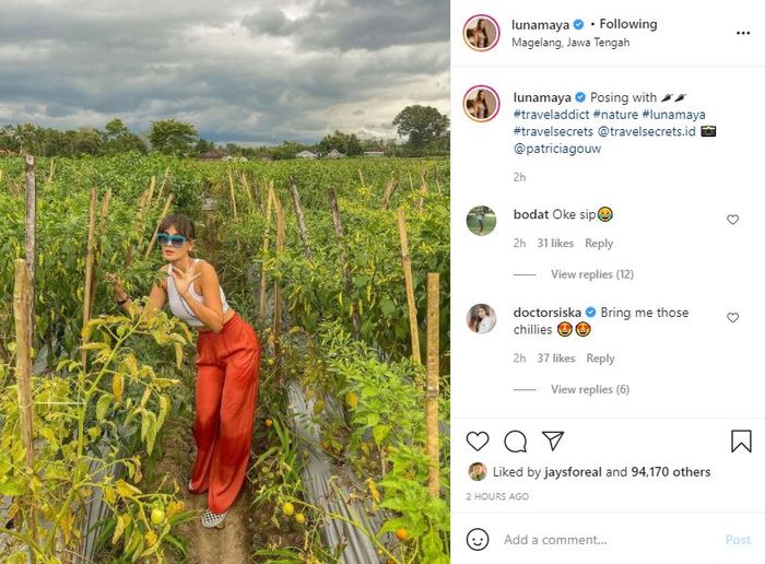 Luna Maya Pamer Foto Di Kebun Cabai Netizen Malah Banjiri Kolom Komentar Dengan Pujian Selangit Di Kebon Cabe Aja Bisa Semenawan Gini Luna Maya Pamer Foto Di Kebun Cabai Netizen Malah Banjiri Kolom Komentar Dengan Pujian Selangit Di Kebon Cabe Aja Bisa Semenawan Gini