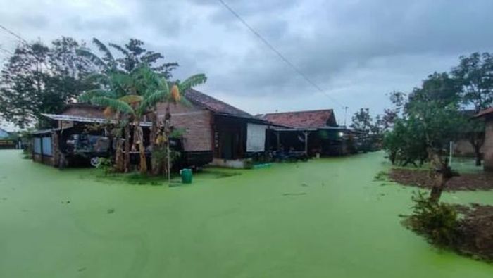 Banjir berwarna hijau lumut di Pekalongan