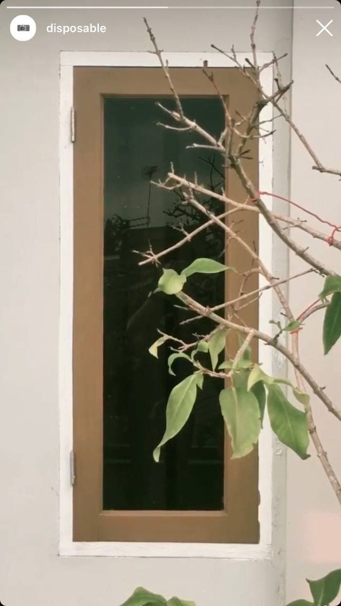 Foto dan Video Makin Aesthetic dengan 6 Filter Instagram Story Ini