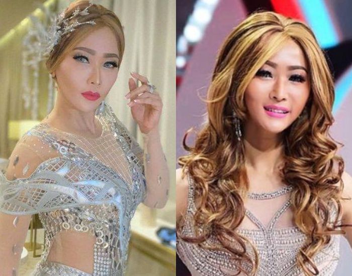 Awal Karier <a href='https://medan.tribunnews.com/tag/inul-daratista' title='Inul Daratista'>Inul Daratista</a>