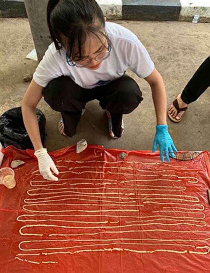 Cacing pita sapi atau cacing pita Taenia saginata.