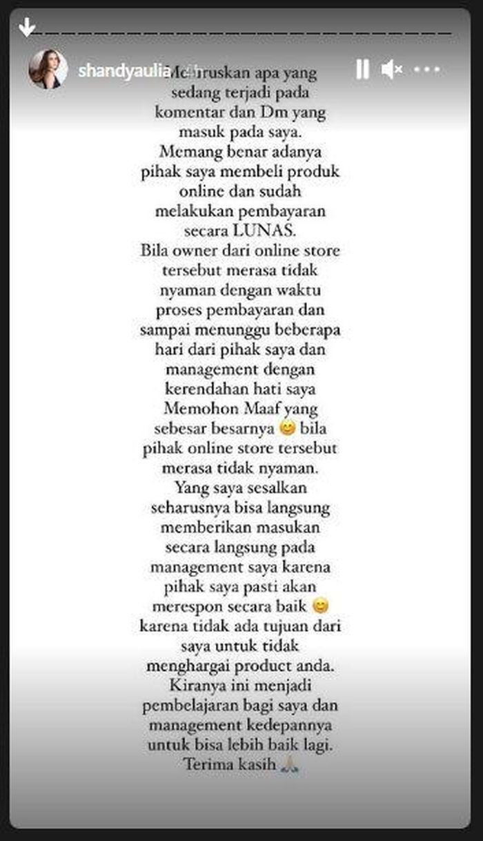 Shandy Aulia buka suara