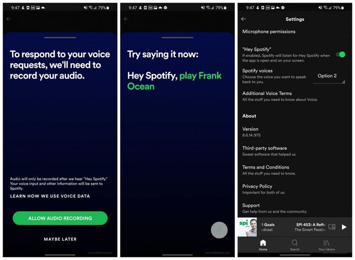 Cara mengaktifkan Hay Spotify Virtual Assistant