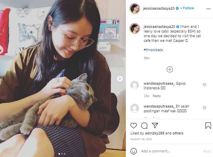 Penyuka kucing
