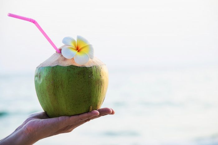 Iseng Minum Air Kelapa Selama 6 Hari Berturut Turut Seorang Wanita Justru Malah Kaget Saat Rasakan Perubahan Tak Terduga Ini Semua Halaman Sajian Sedap