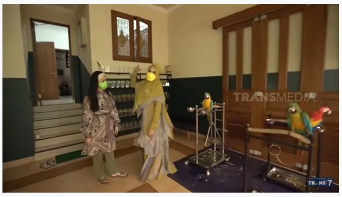 Binatang peliharaan di rumah <a href='https://tribunmedan.cfd/tag/kartika-putri' title='Kartika Putri'>Kartika Putri</a>