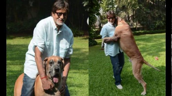 Penampakan rumah Amitabh Bachchan