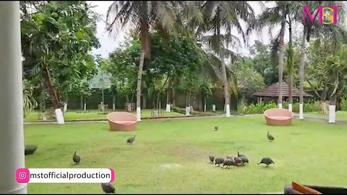 Kebun raksasa di rumah artis <a href='https://makassar.tribunnews.com/tag/mayangsari' title='Mayangsari'>Mayangsari</a>
