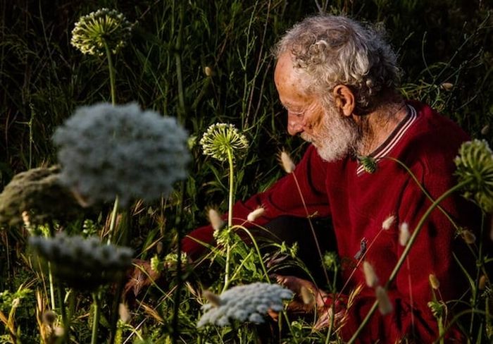 Morandi collects plants behind his house. A friend delivers groceries to the island every two weeks.
