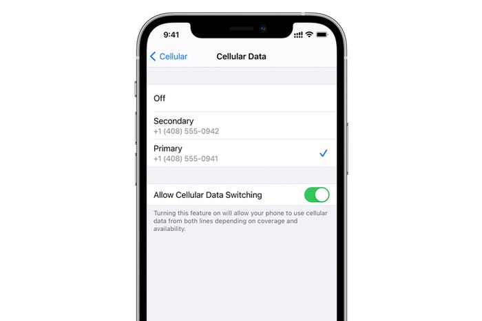 Dual SIM Cellular Data