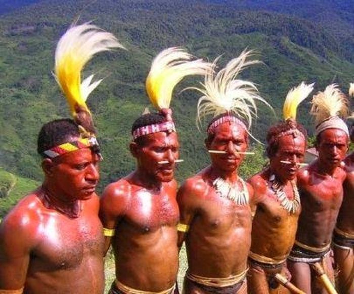 Di dalam hutan negeri atas awan Papua ini, Suku Ngalum dituding menjadi mata-mata TNI oleh KKB Ngalum Kupel pimpinan Lamek Taplo.
