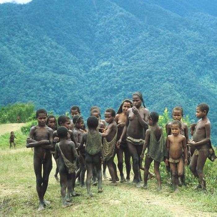 Di dalam hutan negeri atas awan Papua ini, Suku Ngalum dituding menjadi mata-mata TNI oleh KKB Ngalum Kupel pimpinan Lamek Taplo.