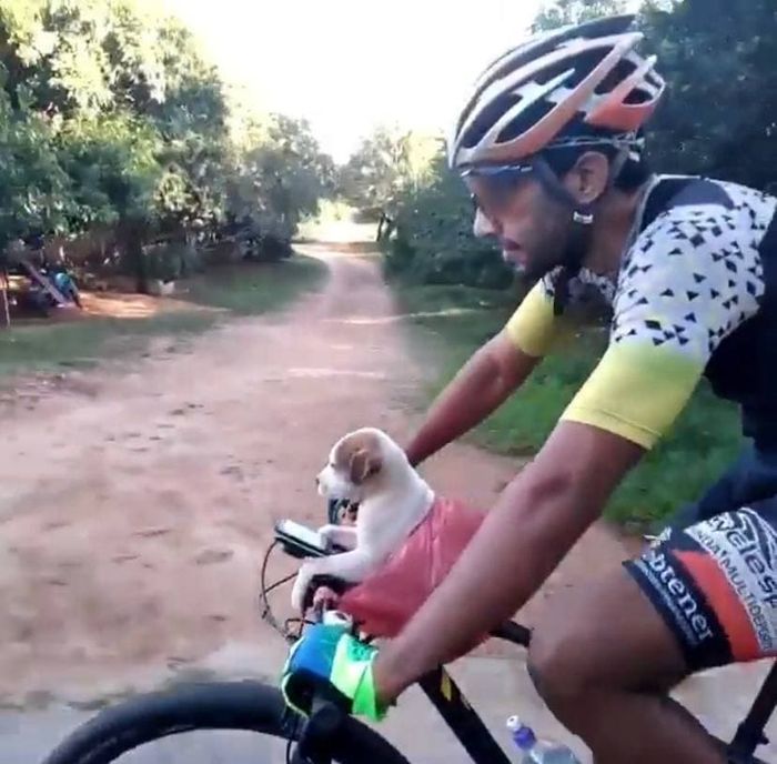 Bikin Terharu, Pesepeda Baik Hati Ini Selamatkan Anjing Malang yang