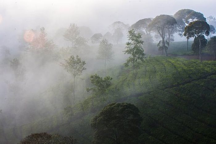 Fakta Sesar Lembang, Patahan Gempa di Wilayah Bandung yang Aktif dan