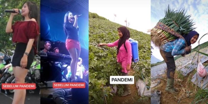 Sebelum pandemi kerap pamer foto seksi, kini pedangdut ini hijrah hingga banting stir menjadi petani. 