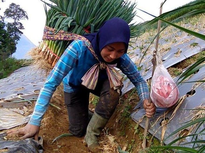Fakta pedangdut seksi yang kini hijrah hingga kerja keras di tengah sawah. Sang biduan pun kini makin nyaman pakai hijab. 