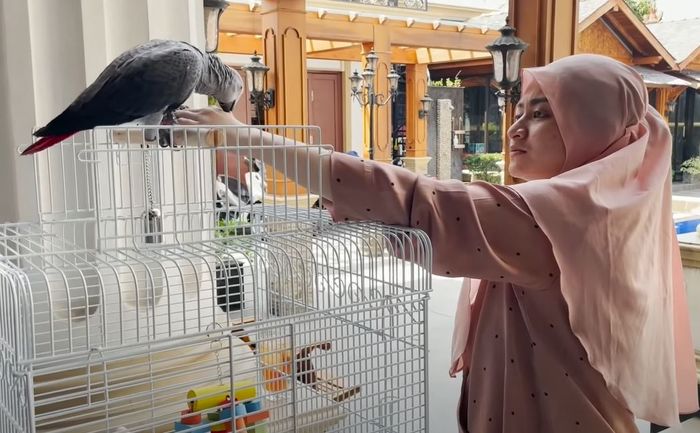 Burung peliharaan Nathalie