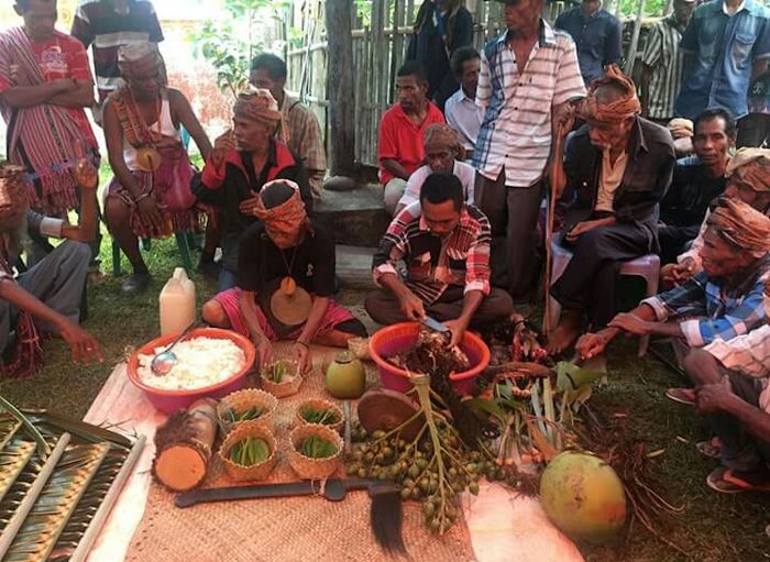 Ritual Tara Bandu, tradisi kuno dan unik di Timor Leste.