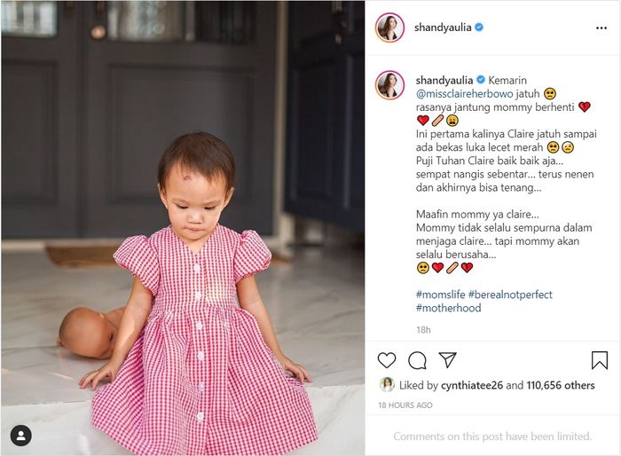 postingan Shandy Aulia