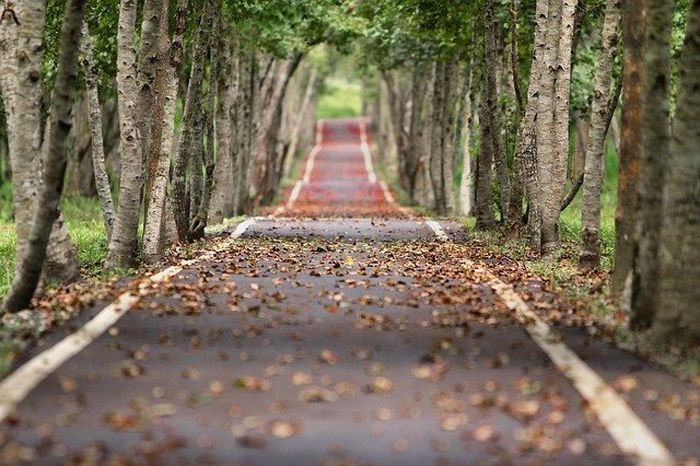 16+ Arti Mimpi Jalan Jalan Dengan Almarhum