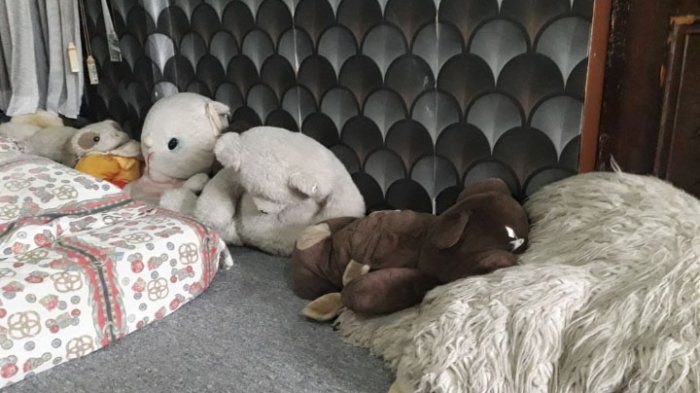 suasana kamar nike ardilla