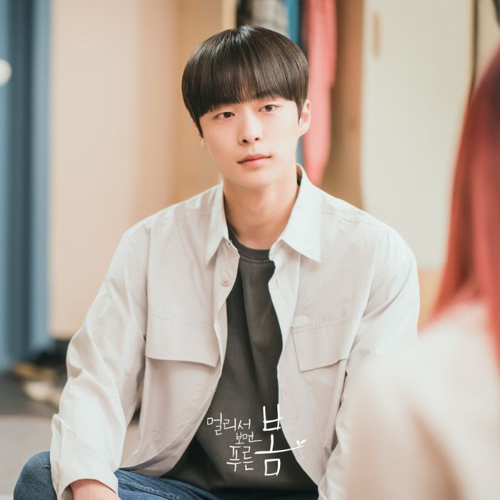 Pilih Bae In Hyuk di My Roommate is a Gumiho atau At a Distance, Spring