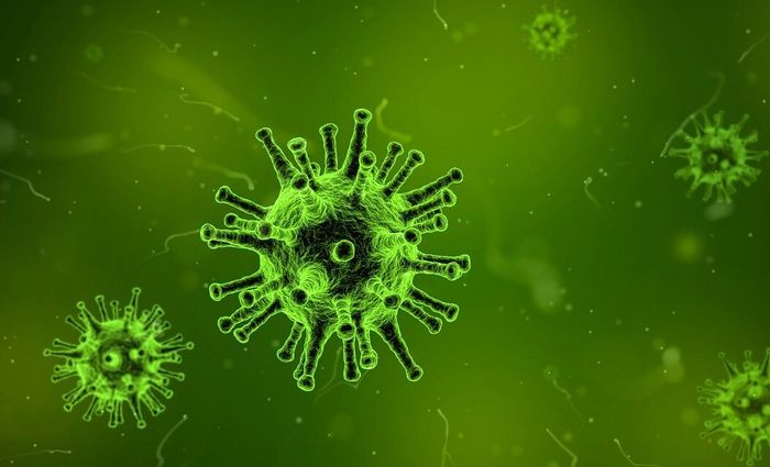 Apa Itu Vaksin Pfizer? Kenali Cara Kerja dan Efek Sampingnya untuk