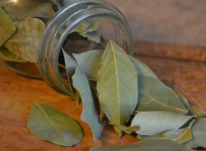 Semprot air rebusan daun salam ke wajah bisa berikan khasiat luar biasa