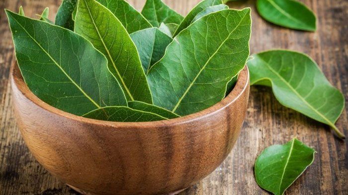 Manfaat teh daun sirsak untuk penyandang diabetes.