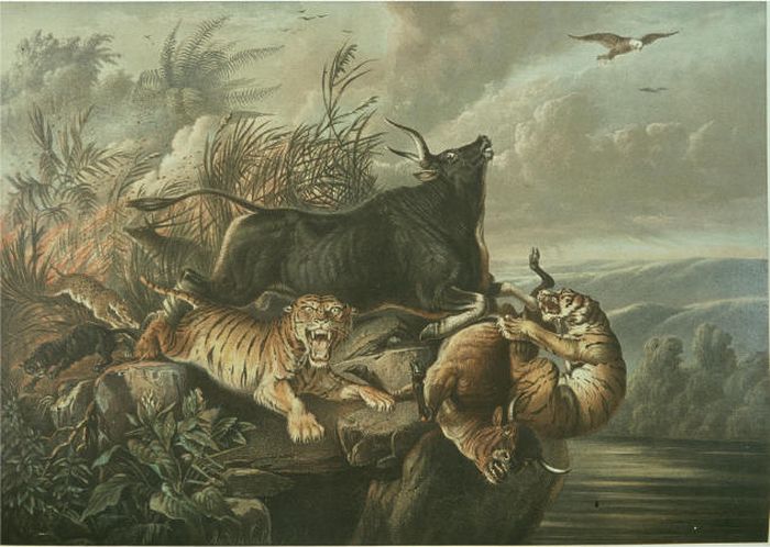 Lukisan Harimau Raden Saleh Jejak Nestapa Satwa Di Pulau Jawa