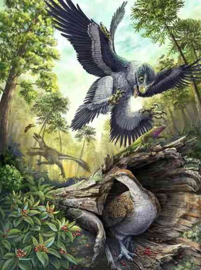 Los científicos creen que las aves son los únicos dinosaurios que quedan en la Tierra